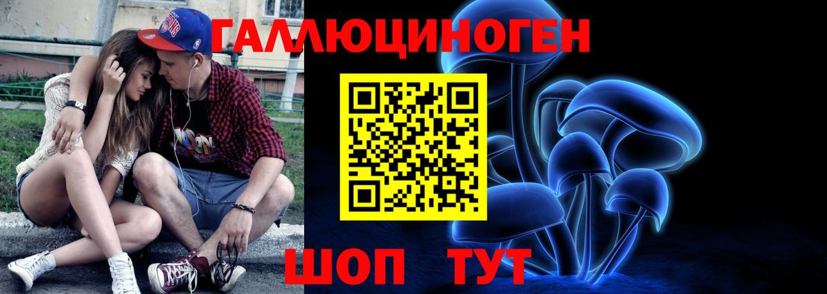 Псилоцибиновые грибы Psilocybine cubensis Ачхой-Мартан