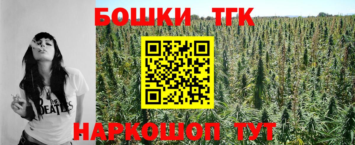 Бошки Шишки гибрид Ачхой-Мартан